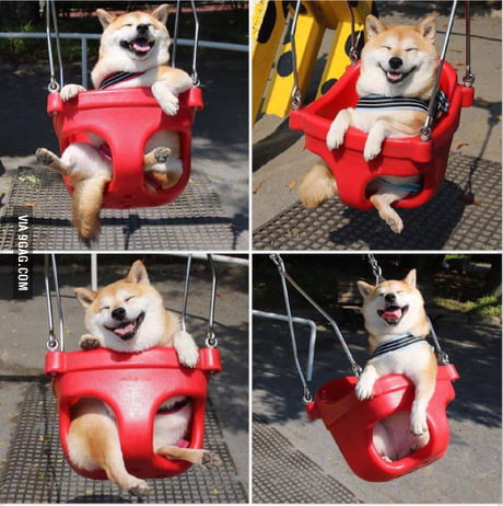 If You Re Having A Bad Day This Happy Doge Will Cheer You Up Happy Doge Happy Life 9gag