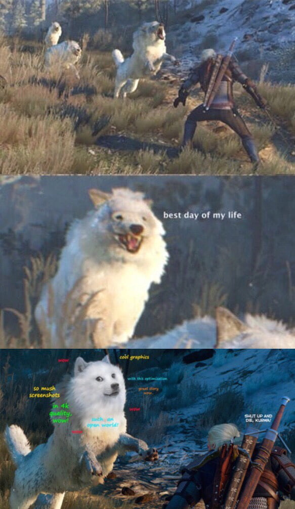 Happy Witcher 3 wolf - 9GAG