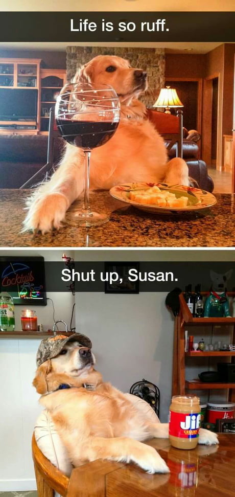 Life is so ruff