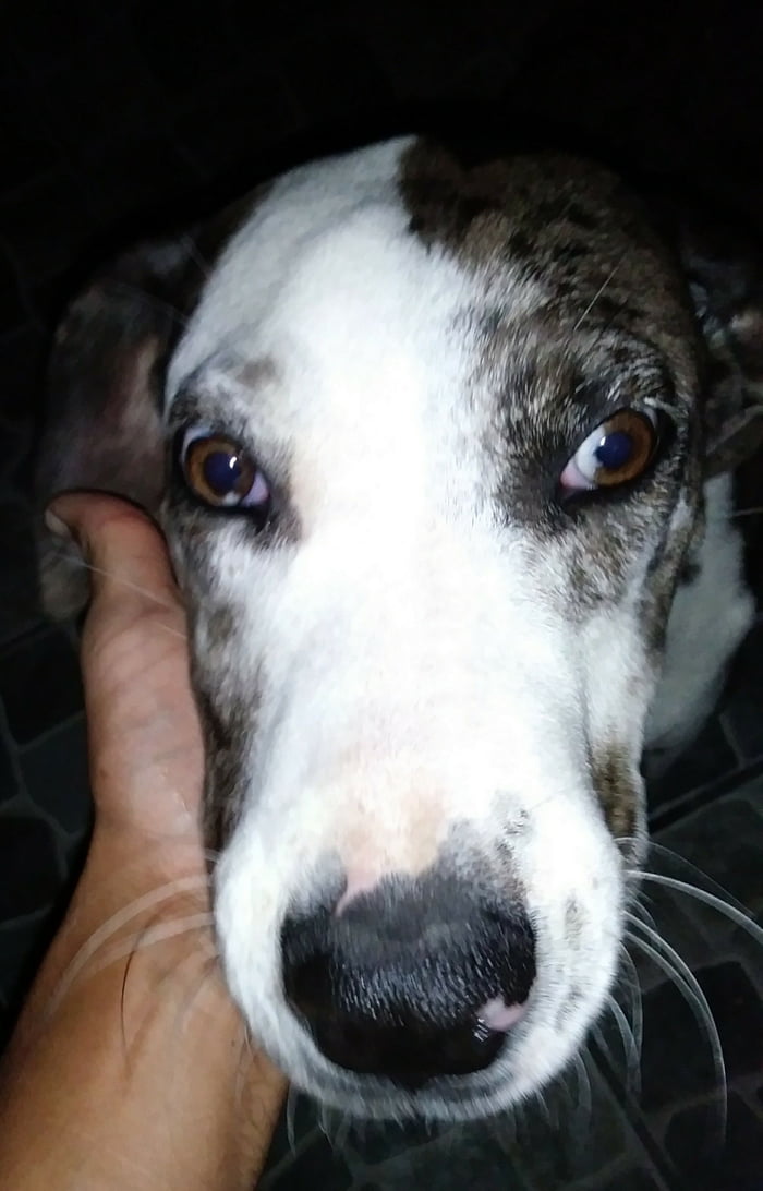 Cool eyes