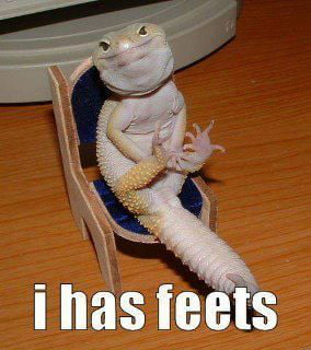 I has feet