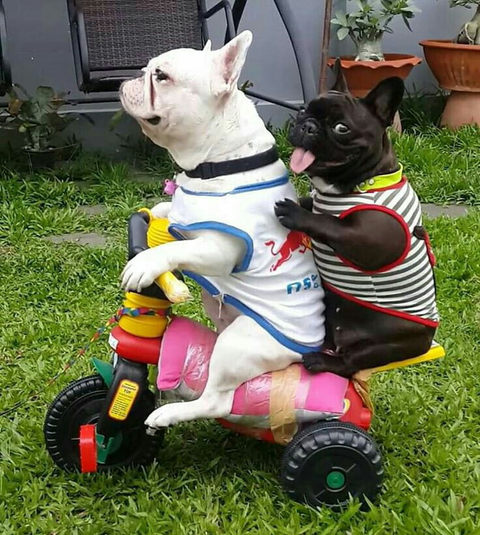 Pretending to be broke af just to get a free ride home