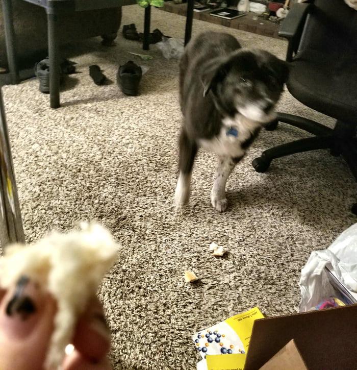 No matter how much I give her, she always wants mine