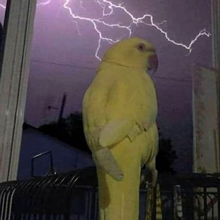 Birby, destroyer of worlds