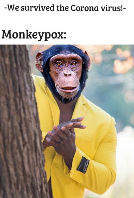 Monke memes because yeah