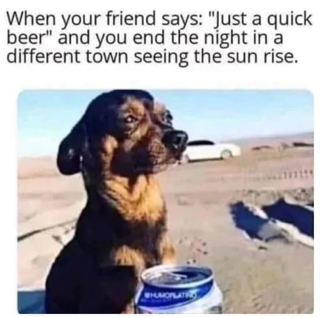 Just a beer during camping...