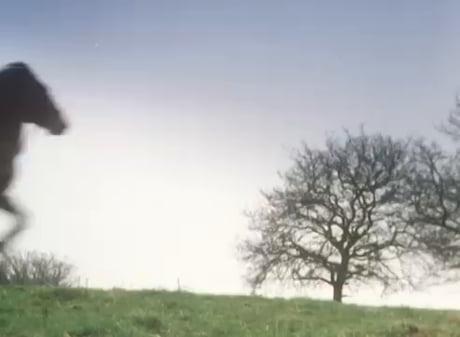 Tenpole Tudor Swords Of A Thousand Men