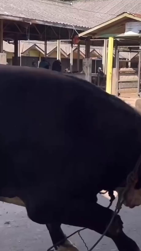 How bold can you go?