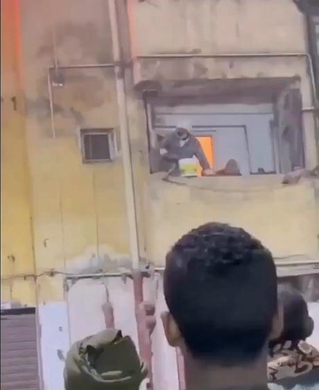 +1 for the effort man