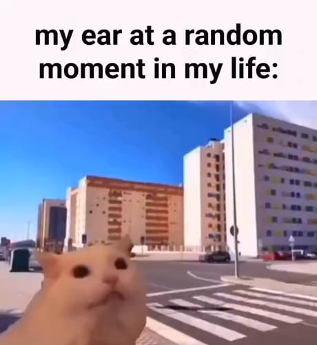 F**k your ears