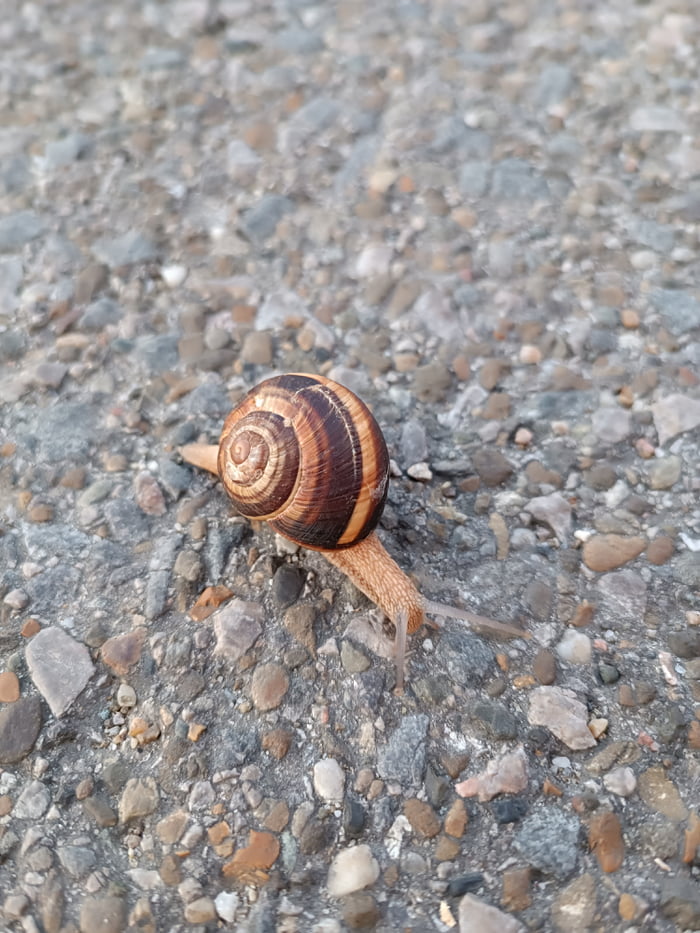 On a morning walk