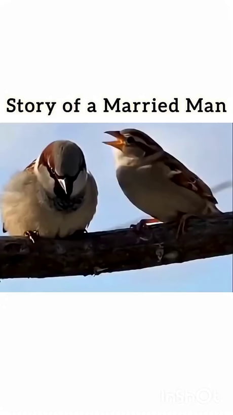 You just know who is the male...