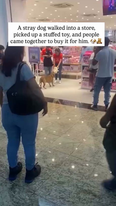 Something to brighten your day