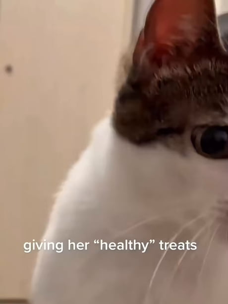 Healthy treats/snacks be exactly like that...