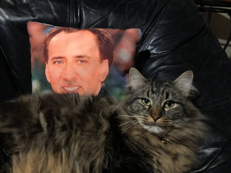 Best Funny inky bear Memes - 9GAG