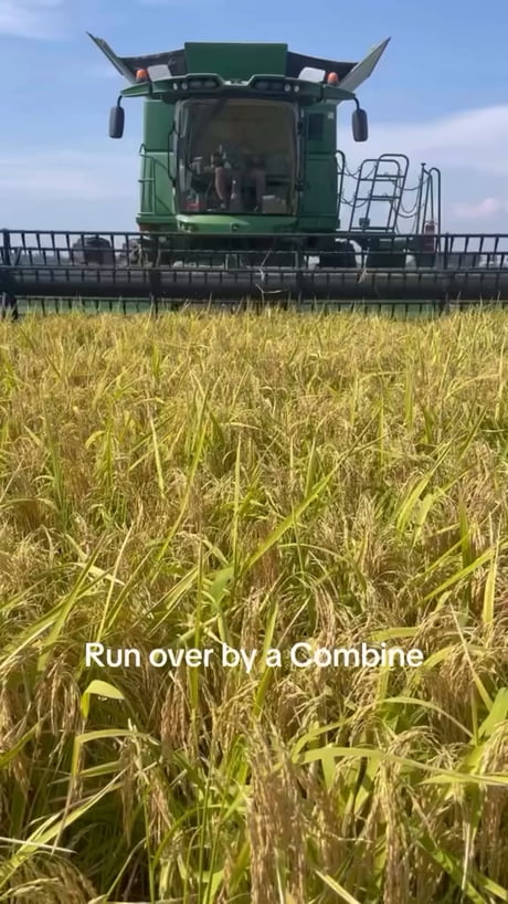 Why do women live longer