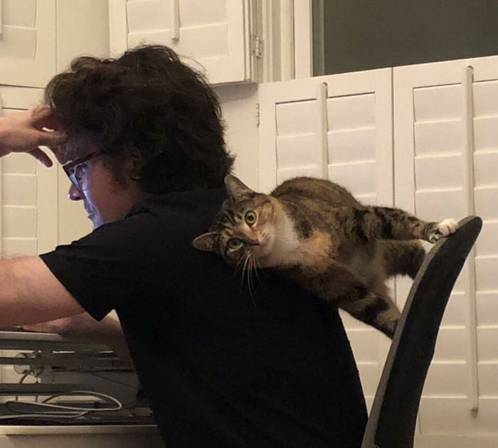Little siblings be like when they try the take PC turn