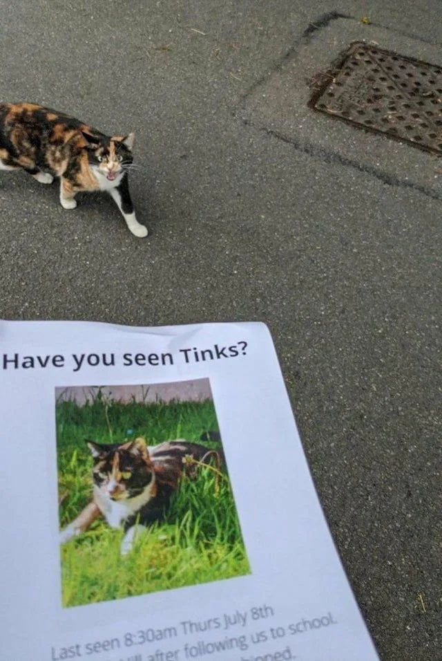Look like Tinks has seen me.