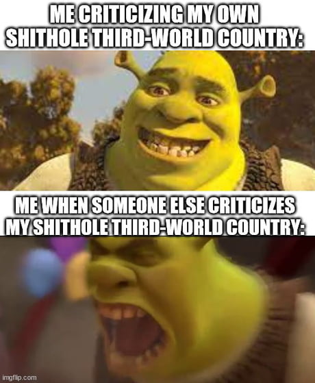 Nice Shrek meme - 9GAG