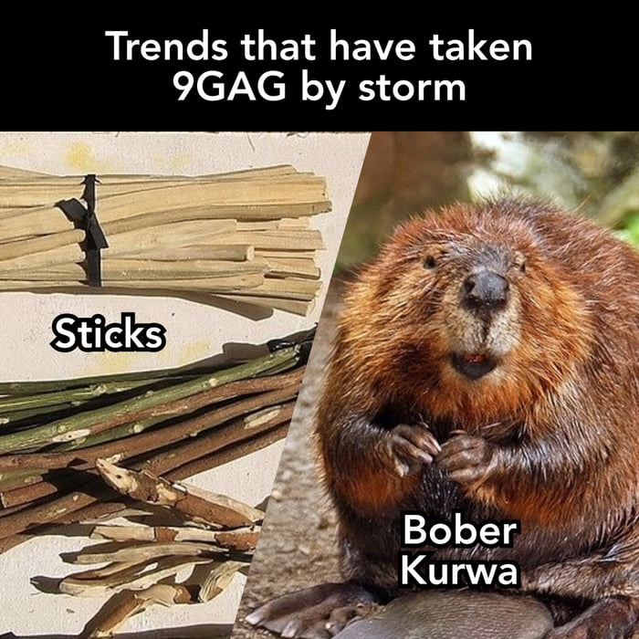 Can you think of any more useless trends that have recently overrun