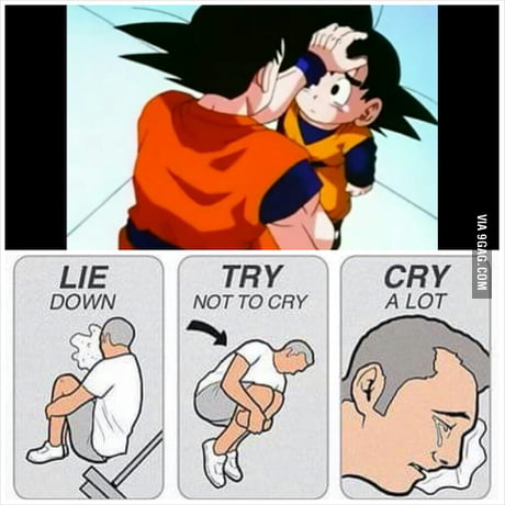 why you lying goku why you lying goku