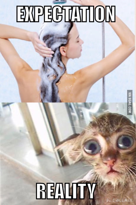 Expectation vs Reality - 9GAG