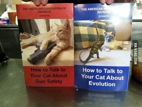 How to Talk to Your Cat about Evolution