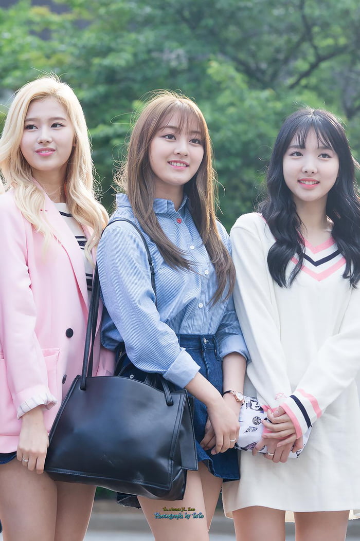 Photo : Sana, Jihyo & Nayeon