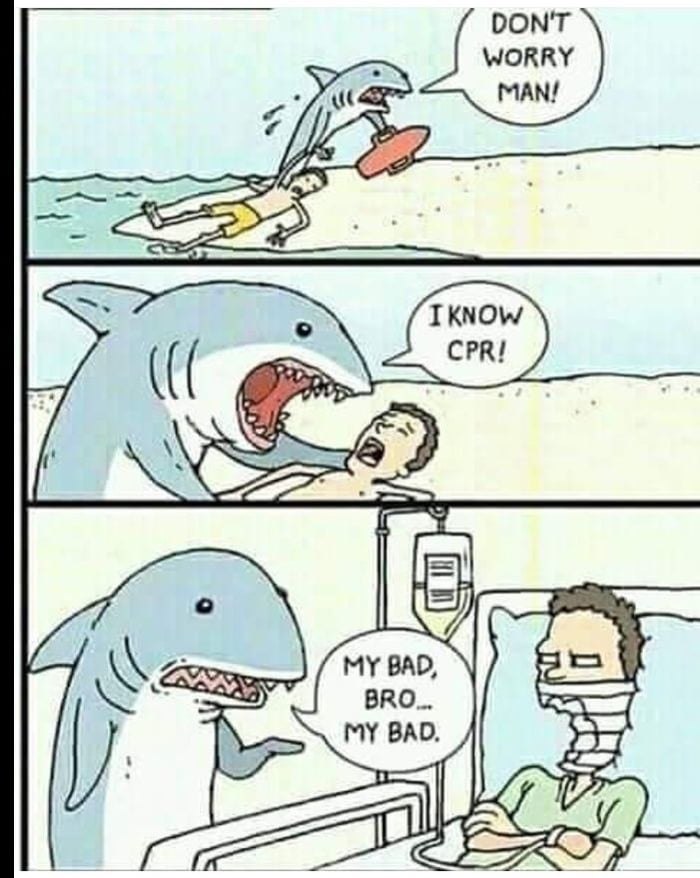 Shark?????