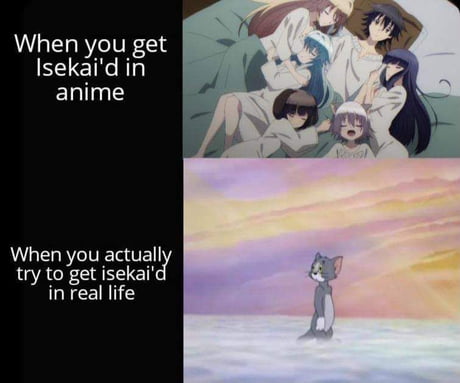 Bruh I'm tired of all these harem isekai : r/animememes