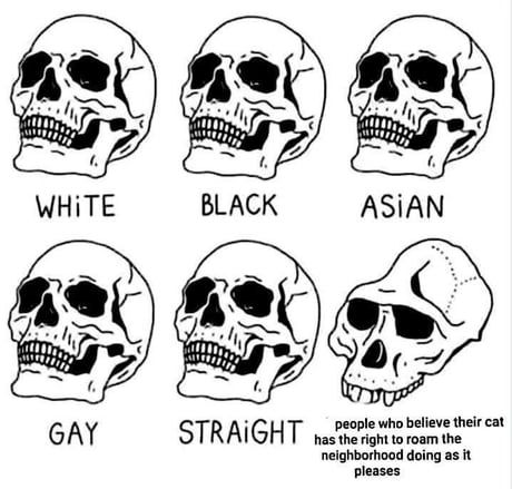 Truth Must Be Spoken Yes I Am Aware Of The Fact That Different Races Of People Have Different Skulls But It Is Cool Meme Material 9gag