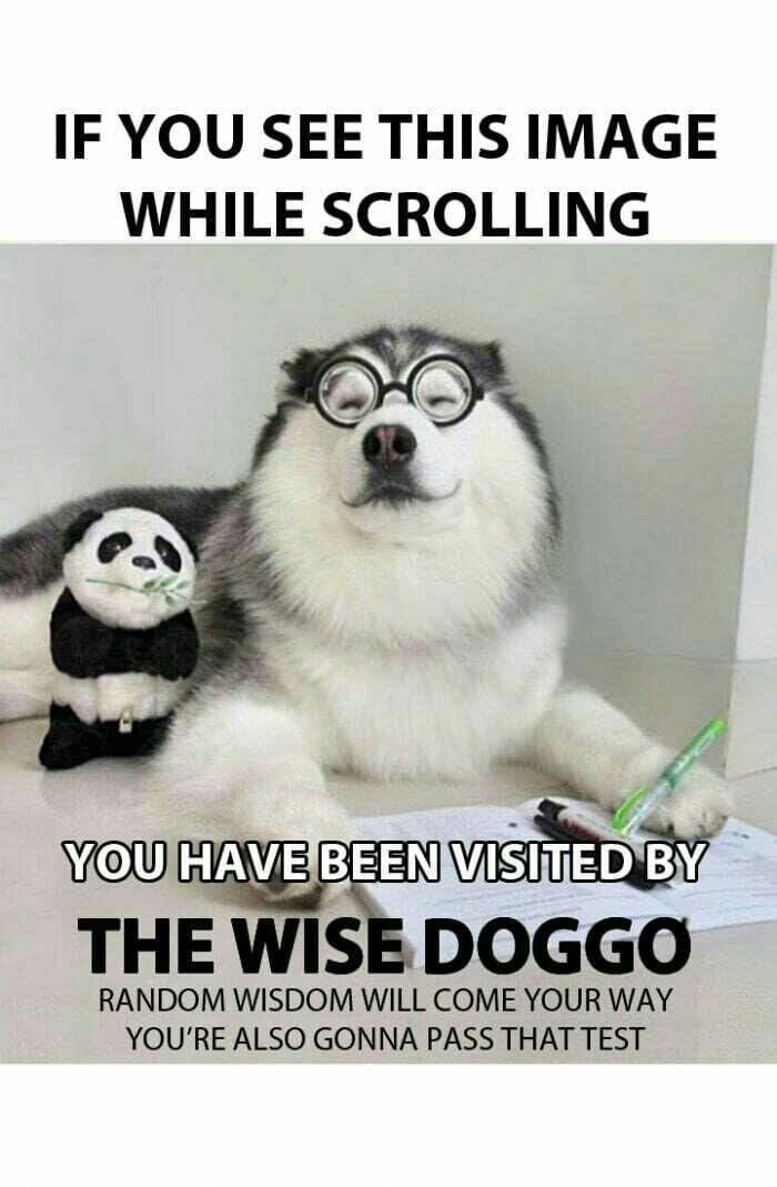 Upvote for wisdom