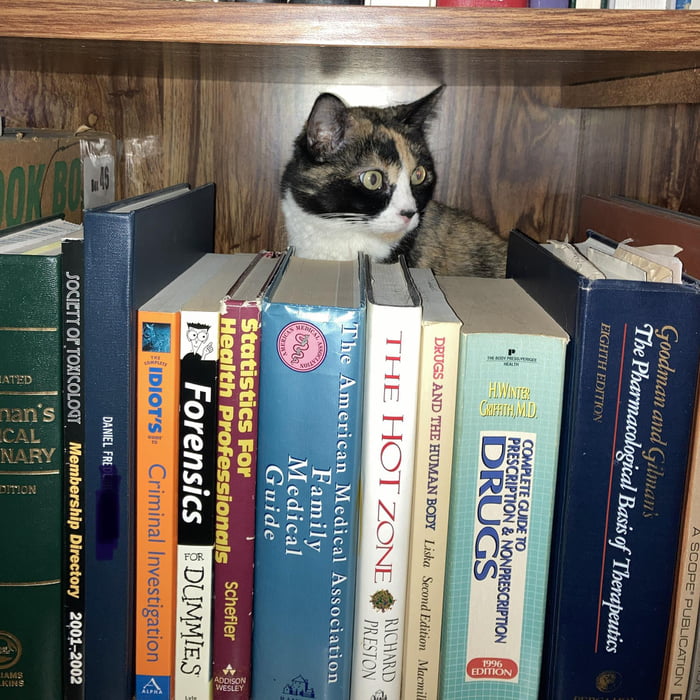 “Callie, you’re such a, um, cat!” She just got home from being boarded