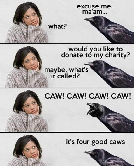 Best Funny crows Memes - 9GAG