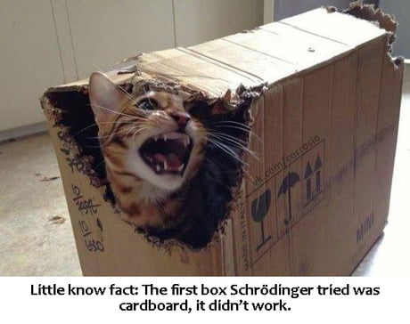 Best Funny cardboard Memes - 9GAG