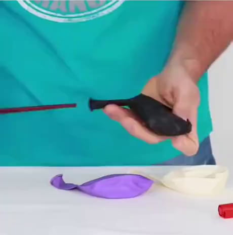 Something to do with the kids for the season