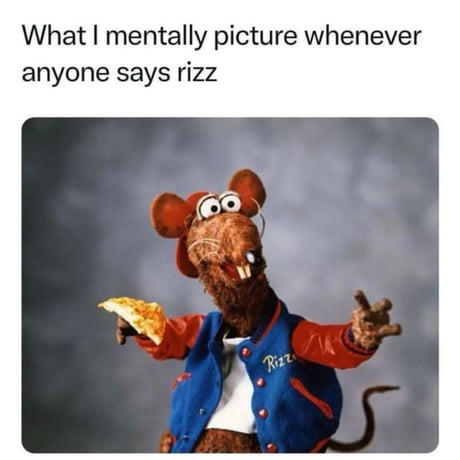 Fat Rat Rizz Best Funny rat Memes - 9GAG