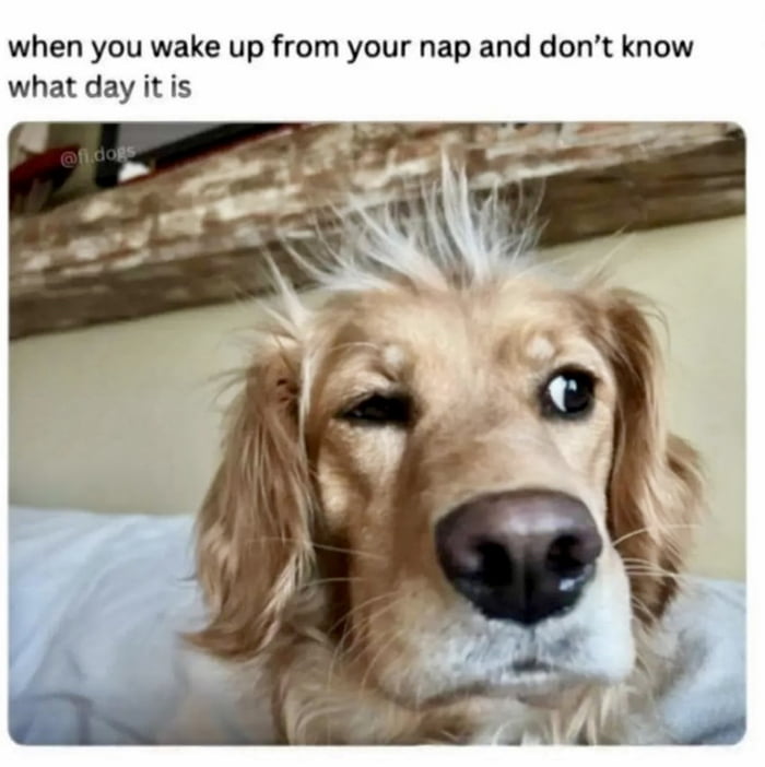 Nap time - 9GAG