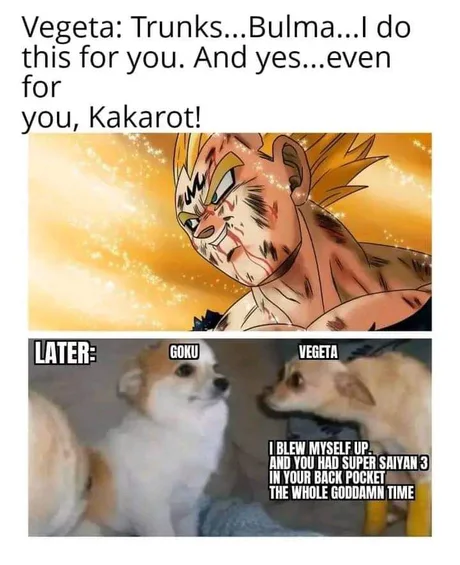 [Obrazek: ajPYPEx_460swp.webp]