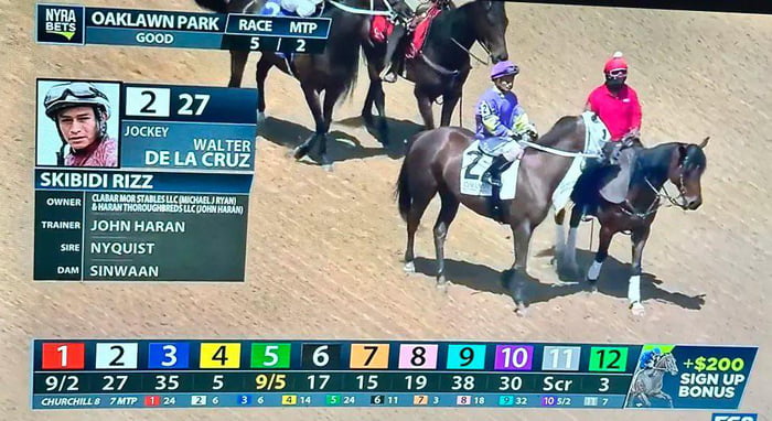 Skibidi Rizz Races THERES A HORSE NAMED SKIBIDI RIZZ - 9GAG