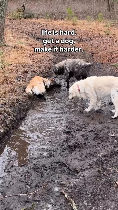 Time to play