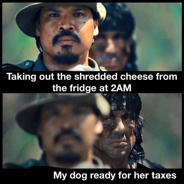 The cheese tax! 9GAG