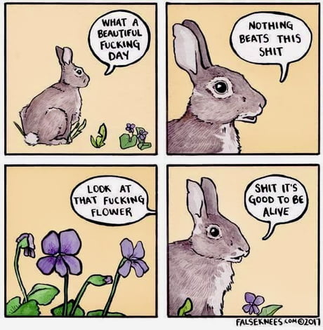 Best Funny profanity Memes - 9GAG