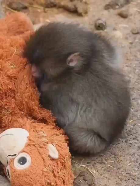 Why don't you give up? Cause he never did.