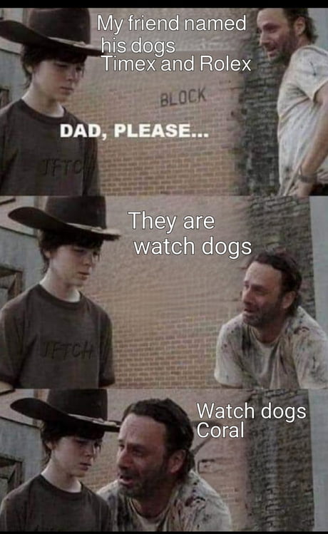 Watch dogs..