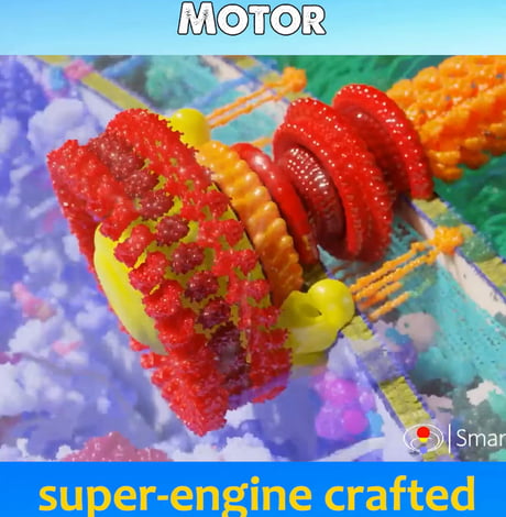 Bacterial Flagellar Motor