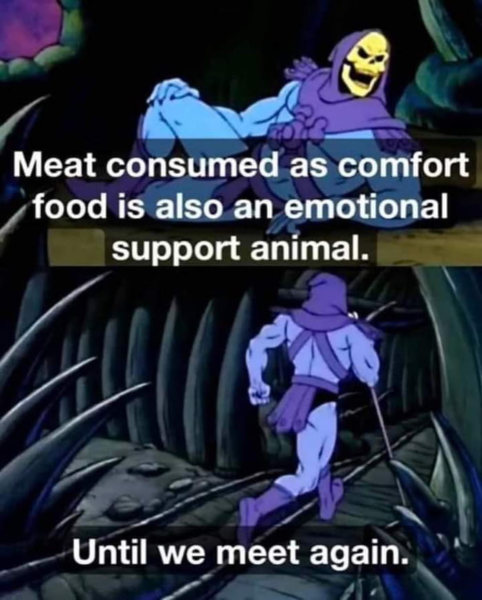 fried-chicken-is-my-emotional-support-animal-9gag