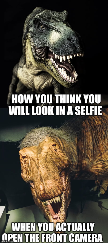 Best Funny dinosaur Memes - 9GAG