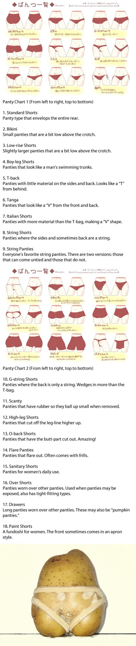 Japanese presented a chart of all panty types, for panty
