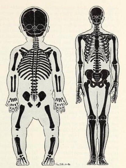 a-baby-and-adult-skeleton-compared-if-they-were-the-same-size-9gag